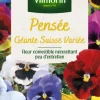 Online VILMORIN Pensée Géante Suisse Variée - graines à semer