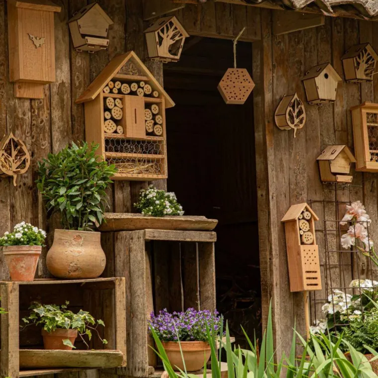 Sale BOTANIC® Petit hôtel à insectes en sapin Douglas