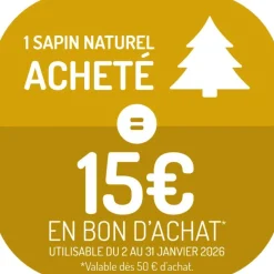 Clearance Petit sapin naturel épicéa Picea Pungens Super Blue