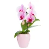 Outlet Phalaenopsis swan avec un cache-pot en céramique coloris blanc - Ø 7 cm H 30 cm