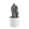 New BOTANIC® Pilosocereus azureus en pot blanc émaillé H 20 x Ø 20 cm