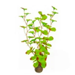 Clearance BLUE CORAL Plante artificielle aquarium, haute résistance, SUPERFISH, modèle Easy Plants High 13