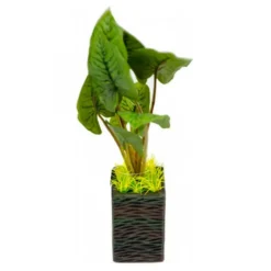 Sale BLUE CORAL Plante artificielle aquarium, hauteur 25 cm - AQUA NOVA