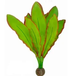 Online BLUE CORAL Plante artificielle d'aquarium Aponogeton, résistante, SUPERFISH