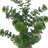 LABEO Plante artificielle pour aquarium coloris vert Limnophilia MM