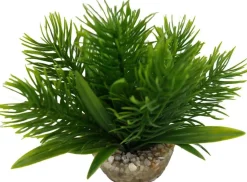 Sale LABEO Plante artificielle pour aqua-terrarium coloris vert Egeria