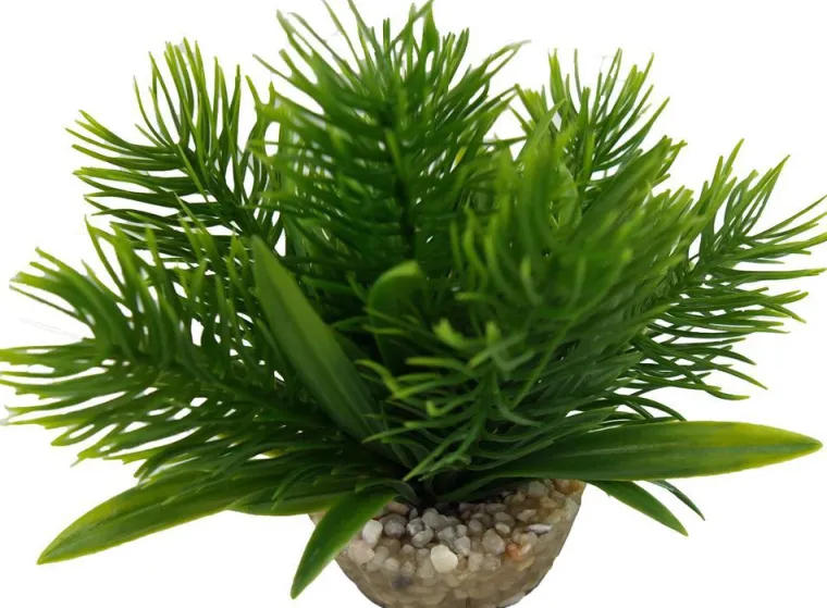 Sale LABEO Plante artificielle pour aqua-terrarium coloris vert Egeria