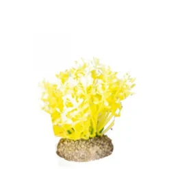 Clearance BLUE CORAL Plante artificielle pour aquarium, jaune, AQUA DELLA - 10cm