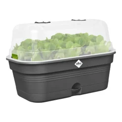 Discount ELHO Plateau de culture coloris living noir Green Basics Allin1 - 18 x 32 x 13,2 cm