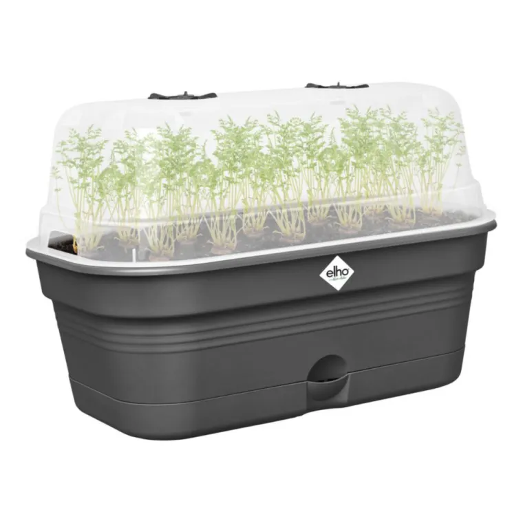 Discount ELHO Plateau de culture coloris living noir Green Basics Allin1 - 18 x 32 x 13,2 cm