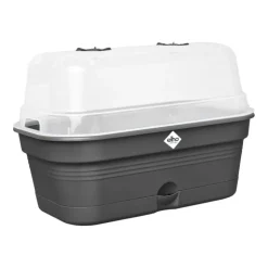 ELHO Plateau de culture en plastique recyclé coloris living noir avec couvercle serre Green Basics Allin1 taille M - 18 x 32 x 13,2 cm