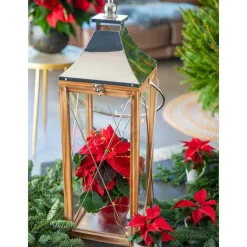 Clearance BOTANIC® Poinsettia rouge en pot Ø 10.5 cm