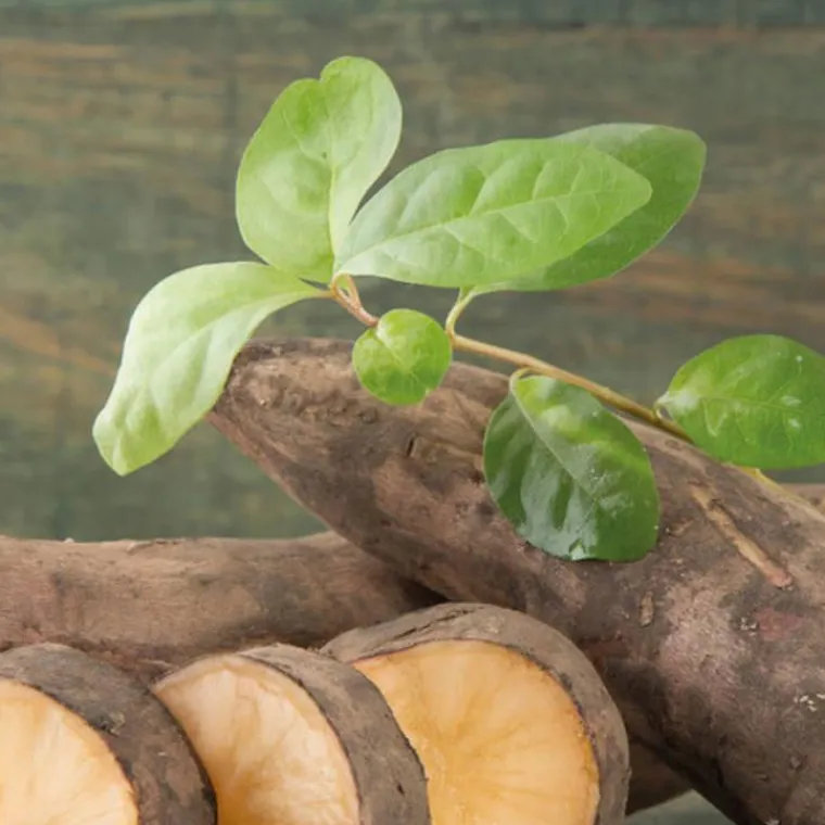 New BOTANIC® Poire De Terre Bio. Le pot de 1 litre