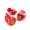 Discount Poivron rouge bio de France ou Espagne - Prix au kg