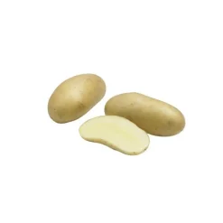 Hot Pomme de terre Amandine calibre 25/32 Plantéo - Le sac de 25 plants