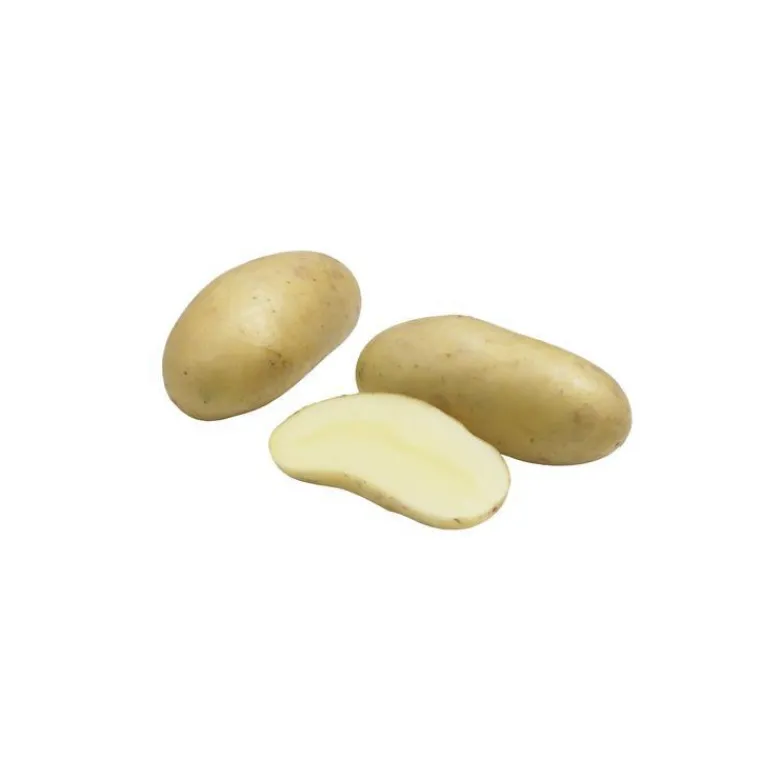 Hot Pomme de terre Amandine calibre 25/32 Plantéo - Le sac de 25 plants