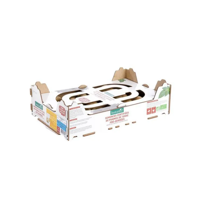 Online BOTANIC® Pommes de terre Monalisa Bio calibre 0001, 60 plants