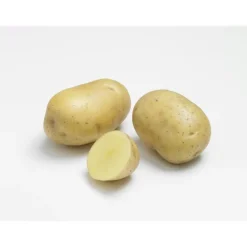 Clearance BOTANIC® Pommes de terre Primlady bio calibre 0001, 1,5 kg