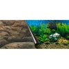 New EUROPET Poster aquarium motif meroche BERNINA - 60x30cm