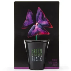 Best RADIS ET CAPUCINE Pot Black Trèfle pourpre à semer 6.5x12 cm