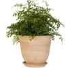 Discount TERRABLANCA Pot Campanas lisse en terre cuite - D40xH35