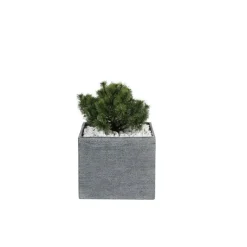 Sale MICA DÉCORATIONS Pot carré bas Stream S/4 anthracite H.31 cm