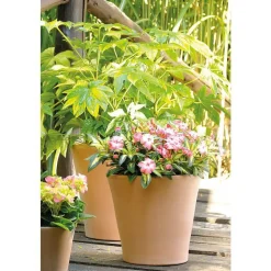 Discount DEROMA Pot Cono Antica en terre cuite claire – D31xH28,4