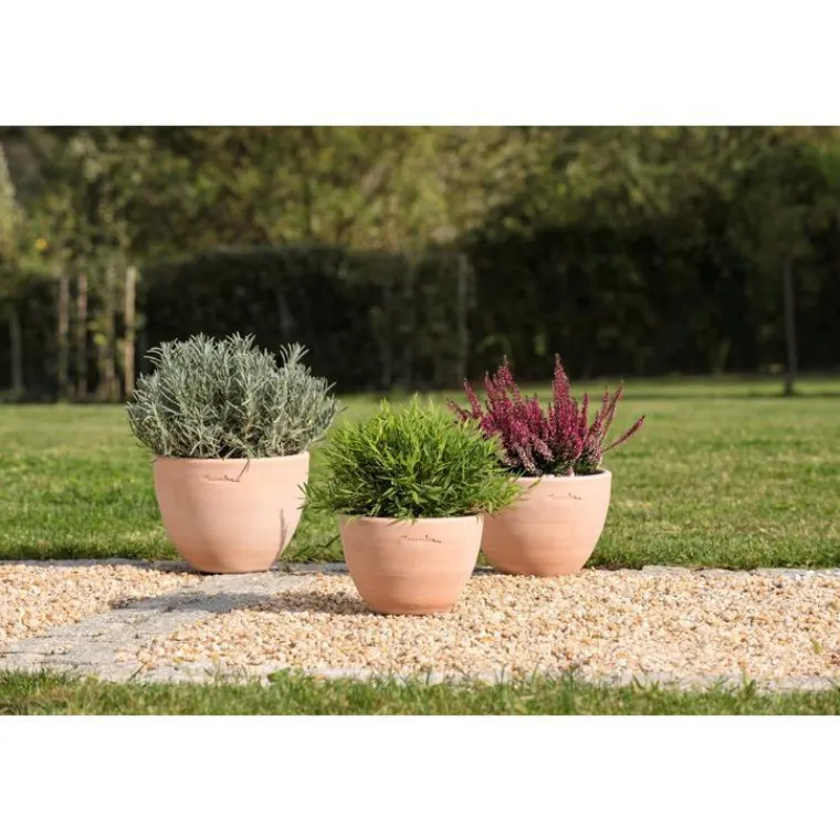 Outlet POTERIE GOICOECHEA Pot Cuvier bas contemporain en terre claire H 17 x Ø 23 cm