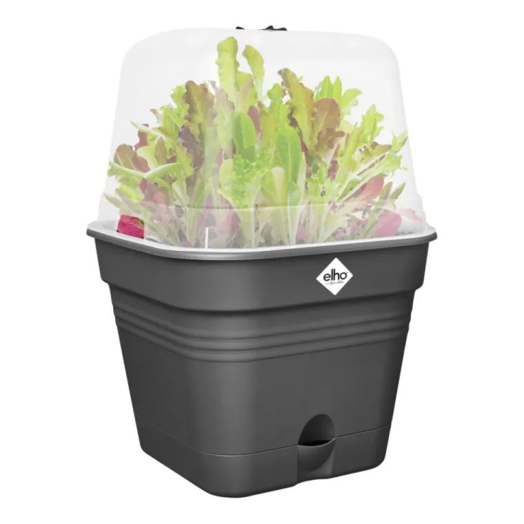 New ELHO Pot de culture carré coloris living noir Green Basics Allin1 - 35 cm