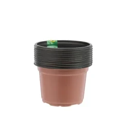 NORTENE Pot de germination coloris orange Ø 9 cm