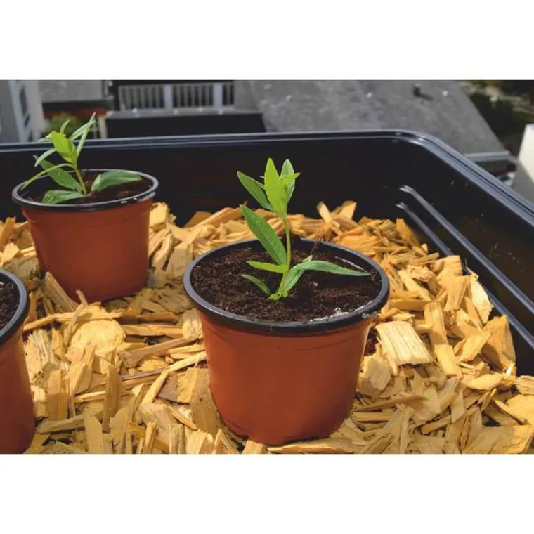 NORTENE Pot de germination coloris orange Ø 13 cm