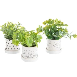 Discount KAEMINGK Pot de plante succulente coloris vert en céramique - Ø 8 cm