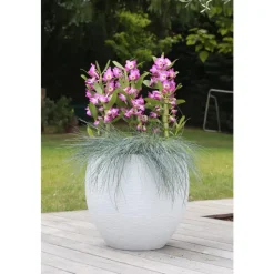 EDA Pot egg Graphit blanc cérusé D50 x H45