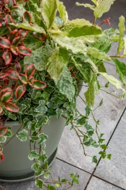 Discount EDA Pot en matière recyclée coloris vert kaki Poetic Joy 40 - Ø 38,6 x H 31,2 cm