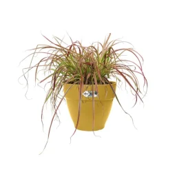 Online ELHO Pot en polypropylène jaune miel Vibia Campana - Ø 20 x 17 cm