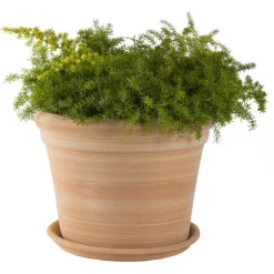 TERRABLANCA Pot gamme Cocio bordo Ø 42 cm