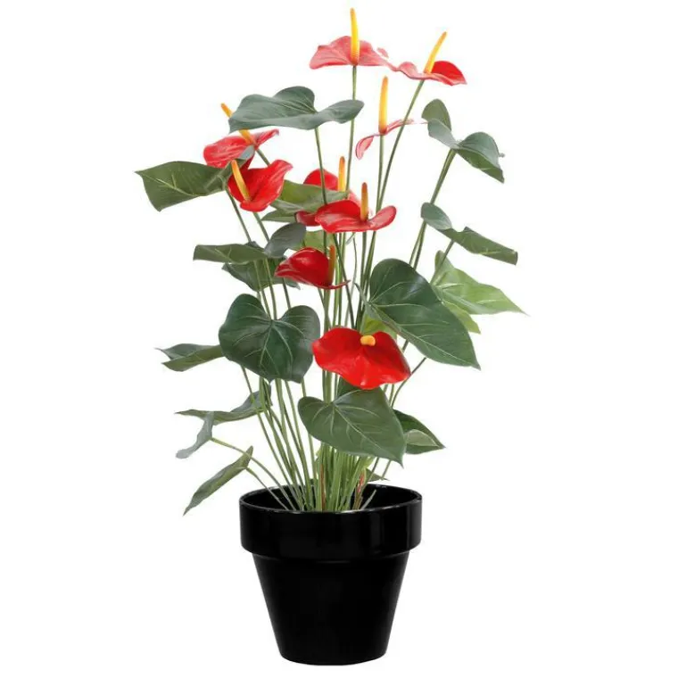 New DECOLINES Pot horticole en terre cuite émaillée Noir – D25 x H23