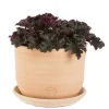 TERRABLANCA Pot Macetero terre cuite claire D20XH16