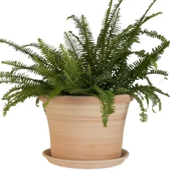 Hot TERRABLANCA Pot rond Cocio Lisio en terre cuite claire – D30x H22