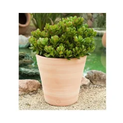 Online TERRABLANCA Pot Vaso lisse D33x H33