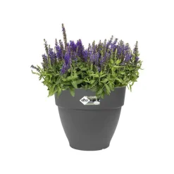 Discount ELHO Pot vibia campana rond de 11 L coloris noir Ø 30 x H 25 cm