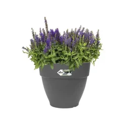Discount ELHO Pot vibia campana rond de 11 L coloris noir Ø 30 x H 25 cm