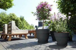 Discount ELHO Pot vibia campana rond de 11 L coloris noir Ø 30 x H 25 cm