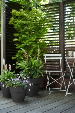 Discount ELHO Pot vibia campana rond de 11 L coloris noir Ø 30 x H 25 cm