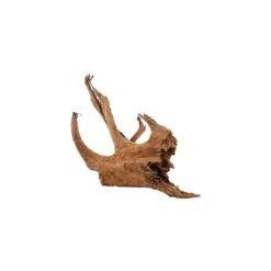 ZOLUX Racine Malaisie en bois naturel marron taille L 40/60 cm