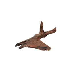 Sale ZOLUX Racine Mangrove en bois naturel marron taille M 25/40 cm