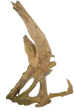 Discount AQUAVIE Racine pour aquarium coloris marron Malaisie - Taille sm 26 à 32 cm