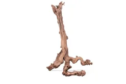 AQUAVIE Racine pour terrarium coloris marron Mopavigne - Taille L