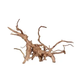 Hot AQUAVIE Racine Vigne rare rouge, Entre 40 et 80 cm