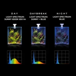 BLUE CORAL Rampe LED aquarium d'eau douce, 4,8 W, fonction jour et nuit - AQUAEL LEDDY Smart 2.0
